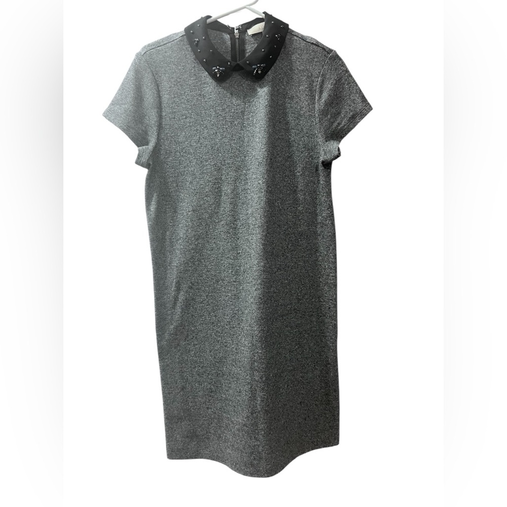 NWT LOFT shift dress with embellished collar